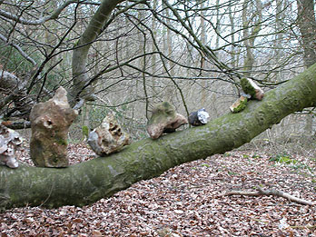 auf europ&auml;ische art